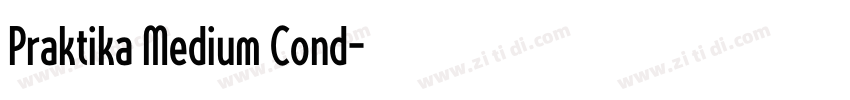 Praktika Medium Cond字体转换
